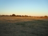dsc07173