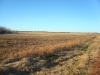 dsc07095