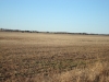 dsc07099